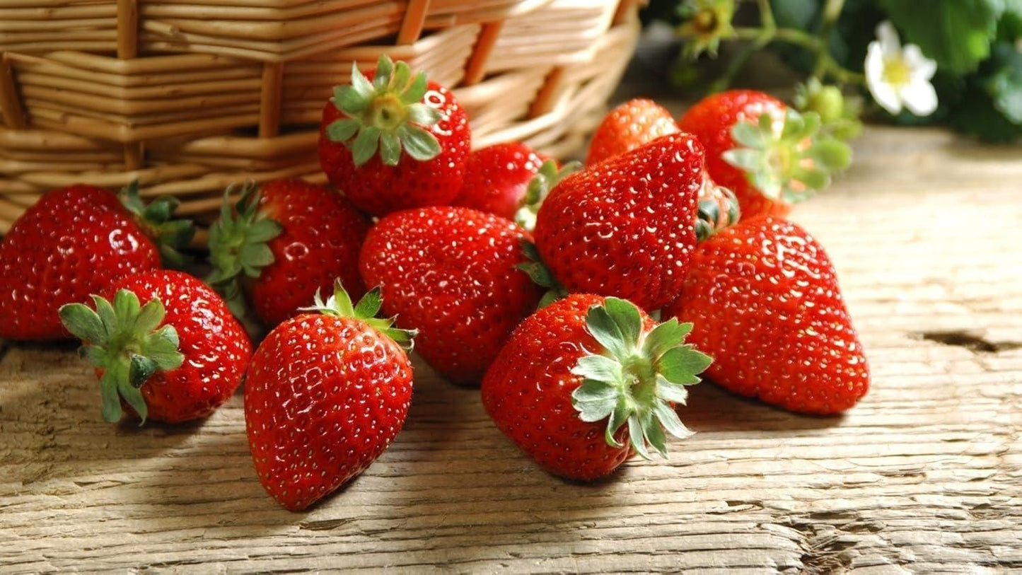 Fresh Sweet Strawberry Seeds (Hybrid) - Pack of 20