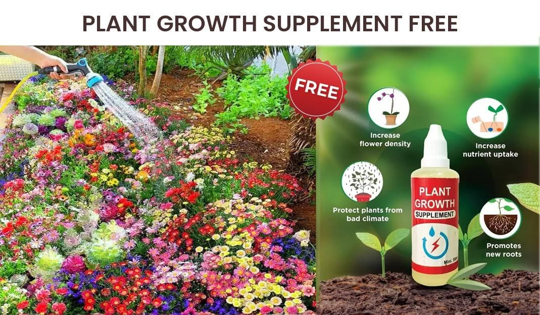 Varieties of Flower Seeds (Pack of 100) with Free Plant Growth Supplement