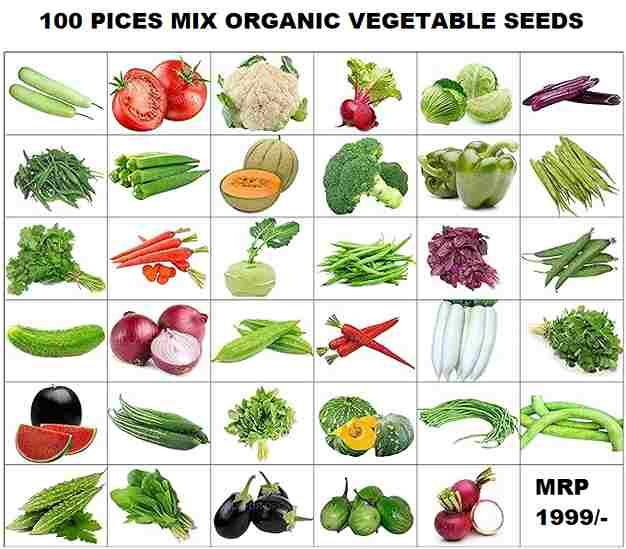 Organic Mix Varieties Seed Kit with 5 Grow Bags (100 Pieces)