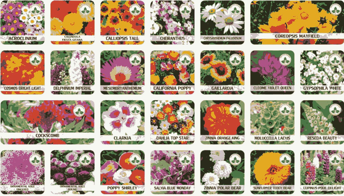 Varieties of Flower Seeds (Pack of 100) with Free Plant Growth Supplement